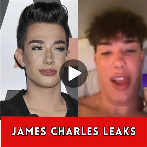 james charles leaks|James Charles Controversy: YouTube, Morphe Cut。